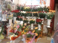 /album/galeria/a1-jpg/