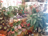 /album/galeria/a4-jpg/