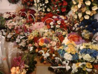 /album/galeria/a7-jpg/