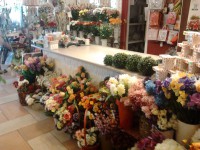 /album/galeria/a9-jpg/